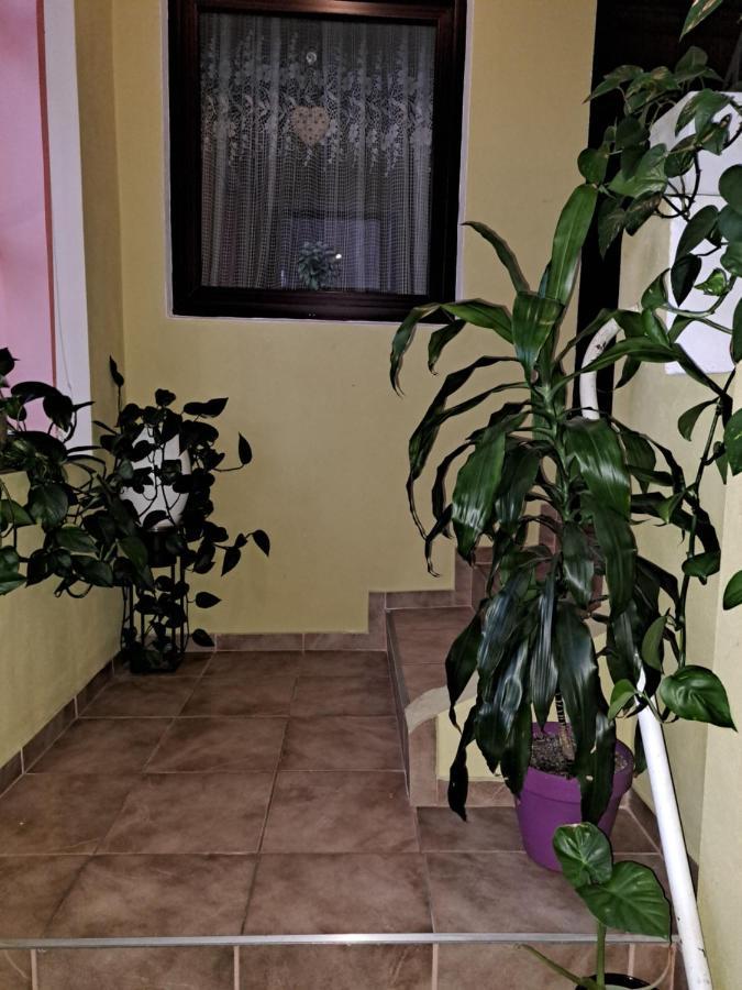 La Bibicu Hotel Agnita Buitenkant foto