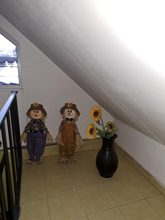 La Bibicu Hotel Agnita Buitenkant foto